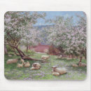 Search for 20th electronics Sheep