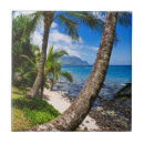 Search for beach tiles Hawaii