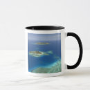 Search for beachcomber mugs Aerial