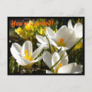 Search for spring crocus invitations Floral