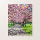 Search for cherry blossom puzzles Pink