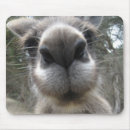 Search for roos mousepads Kangaroo