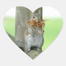 Search for funny squirrels stickers Adorable
