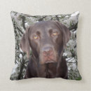 Search for chocolate lab cushions Labrador