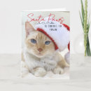Search for crazy cat christmas cards Kitten