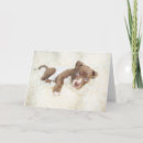 Search for puppy cards Canine