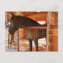 Search for percheron cards invites Draught horse