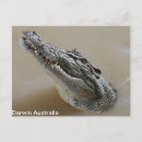Search for salt photography Australia