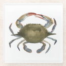 Search for crab coasters Watercolor