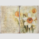 Search for daffodil tissue paper Decoupage