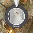Search for loss pet memorial ornaments Rainbow bridge
