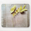 Search for collectable mousepads Photography