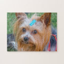 Search for yorkie puzzles Dog