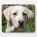 Search for sporting dog mousepads Pets
