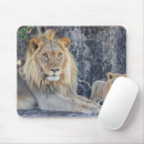 Search for wildcat mousepads Big cat