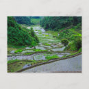 Search for rice terraces postcards Banaue