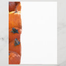 Search for pumpkins flyers Food