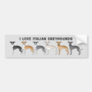 Search for italian greyhound bumper stickers Dog