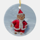 Search for elf in christmas tree decorations Humour