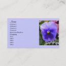 Search for viola business cards Pansies
