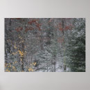 Search for fall colours art Red