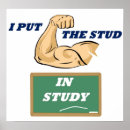 Search for stud art Humour