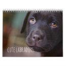 Search for labrador retriever calendars Chocolate