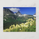 Search for logan postcards Landscape