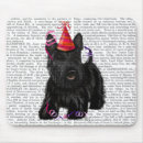 Search for partyhat Animals