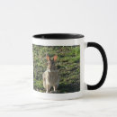 Search for wild hare mugs Animal