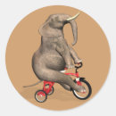 Search for tricycle stickers Funny