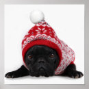 Search for pamper posters Animal
