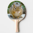 Search for furry ping pong paddles Wildlife