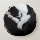 Search for tuxedo cat cushions Kitty