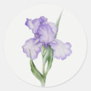 Search for purple iris flower stickers Garden