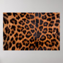 Search for leopard spot pattern posters Animal