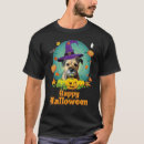 Search for border terrier clothing Pumpkin