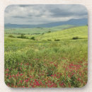Search for agriculture coasters Landscape
