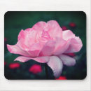 Search for summer bloom mousepads Botanical