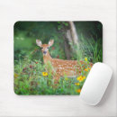 Search for white tailed deer mousepads Mammal