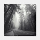 Search for sequoia magnets California