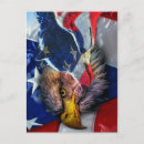 Search for bald eagle and american flag postcards Patriotic