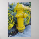 Search for fire flower Yellow