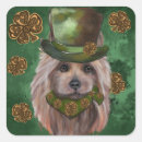 Search for silky terrier stickers Yorkie poo