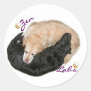 Search for feng shui stickers Yin