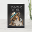 Search for sheltie cards Shelty