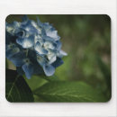 Search for hydrangea mousepads Blue
