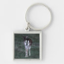 Search for rearing key rings Animal