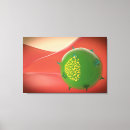 Search for pathogen posters Repetition
