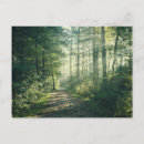 Search for forest path postcards Landscape